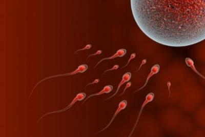 Spermogram i spermokultura | Popusti | Besplatan kupon
